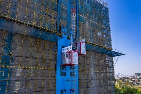 Building Used Double Cage Painting Mast Section Construction Hoist